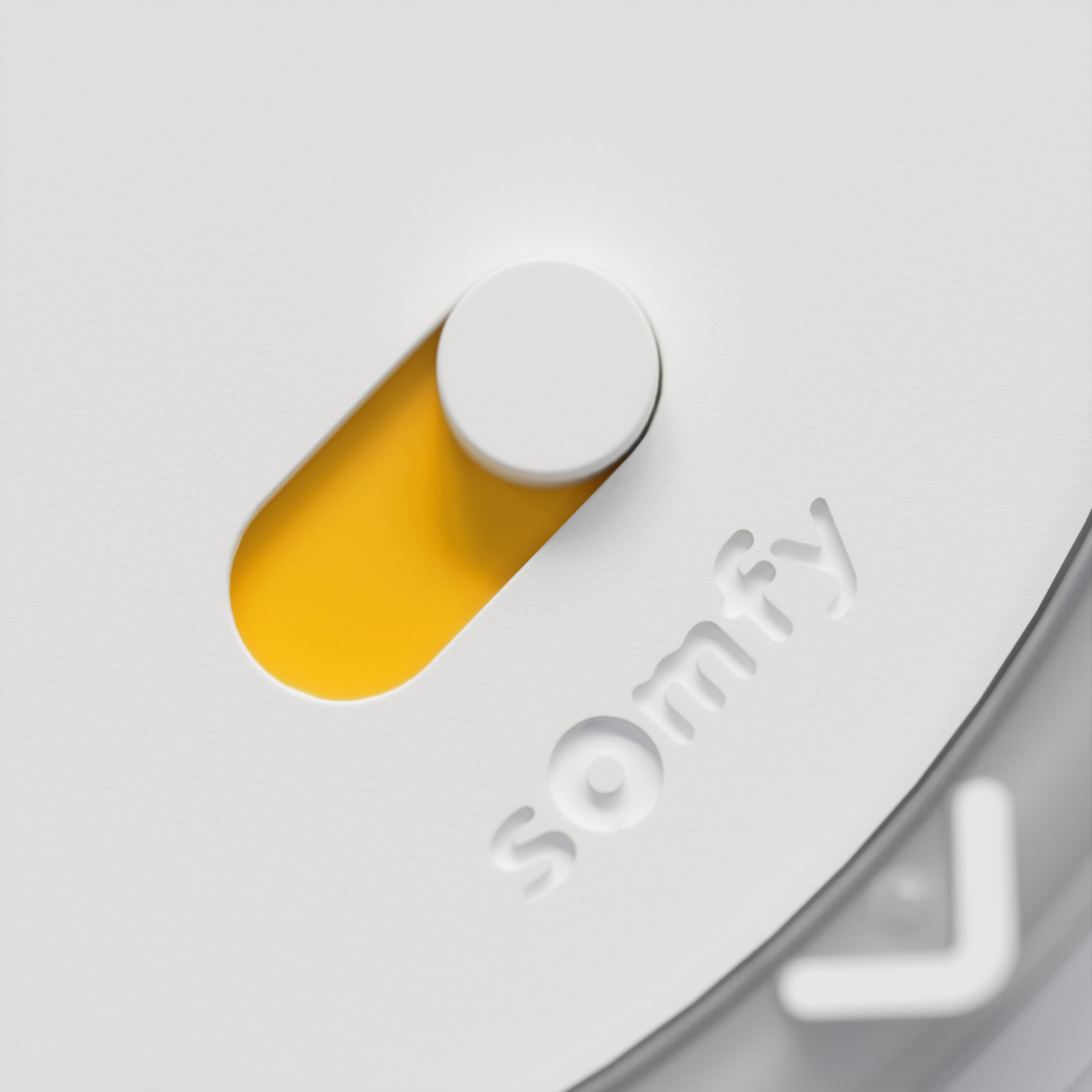 Corpo_detail_4